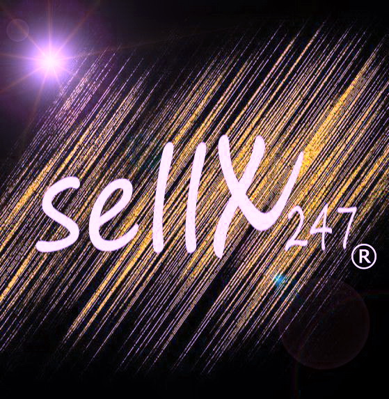 sellX247 Logo